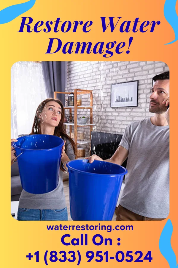 water restoration National Water Cleanup Force Garden City South