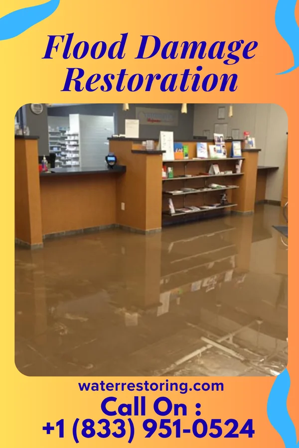 Flood Damage Restoration in Garden City South, NY