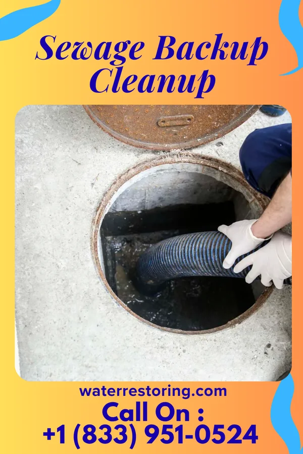 Sewage Backup Cleanup in Garden City South, NY