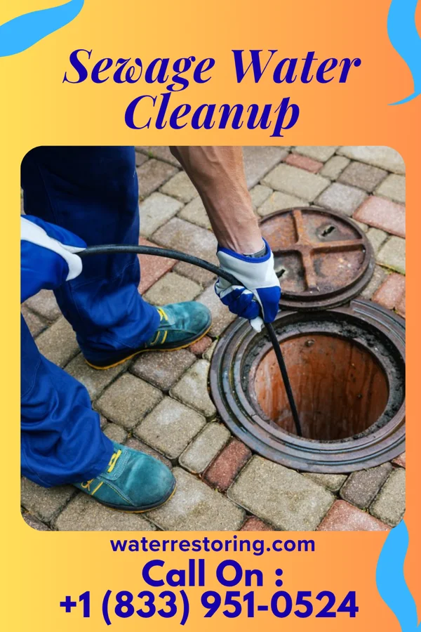 Sewage Water Cleanup in Garden City South, NY