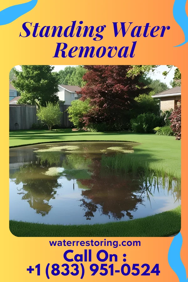 Standing Water Removal in Garden City South, NY
